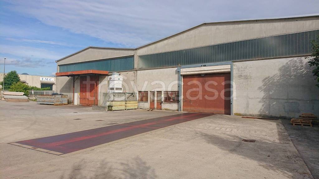 immagine annuncio 2 di 6