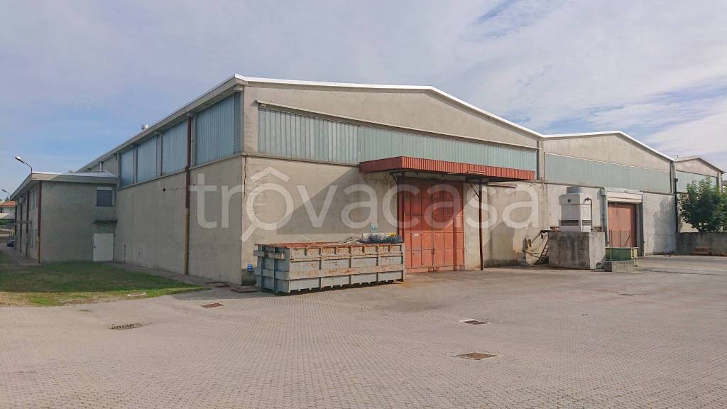 immagine annuncio 4 di 6