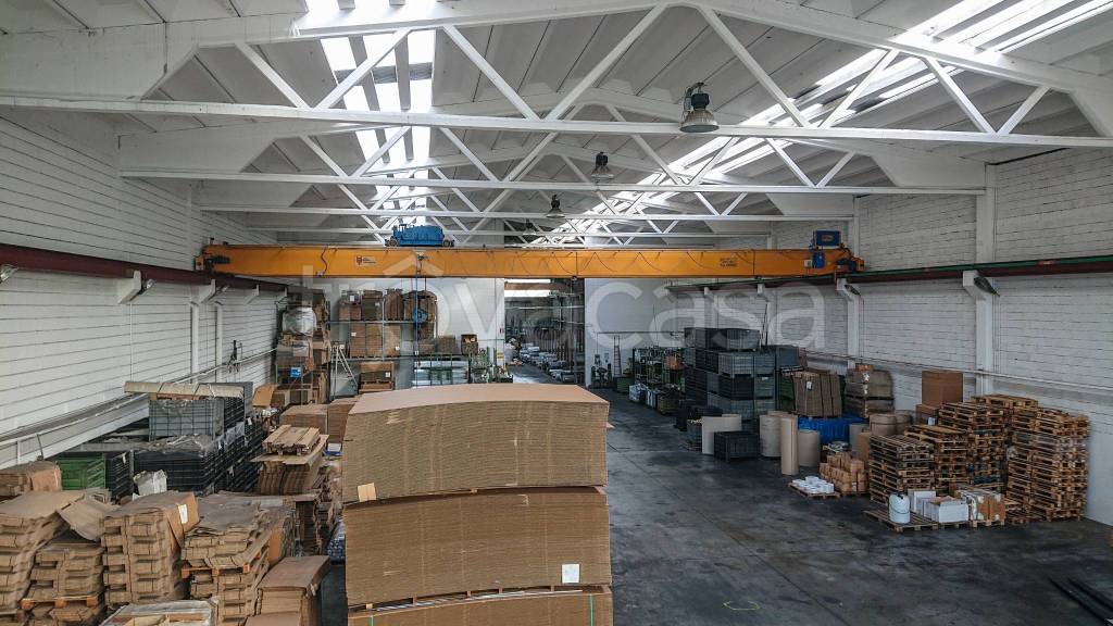 immagine annuncio 5 di 6