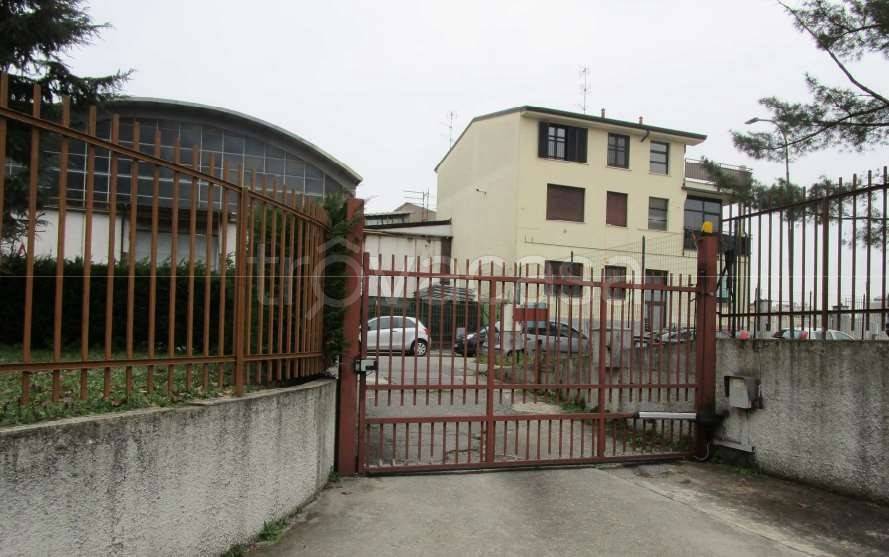 immagine annuncio 9 di 15