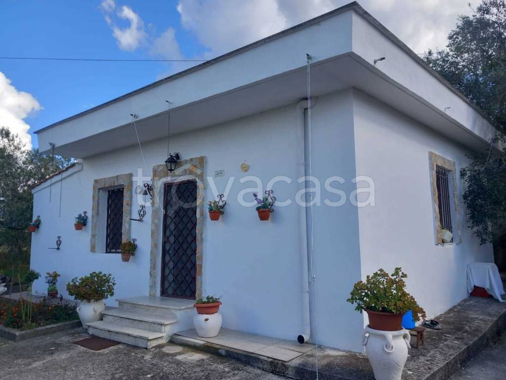 immagine annuncio 3 di 14