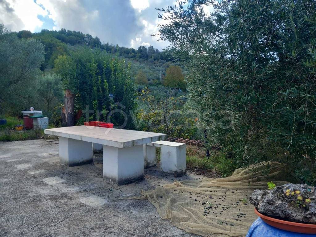 immagine annuncio 4 di 14