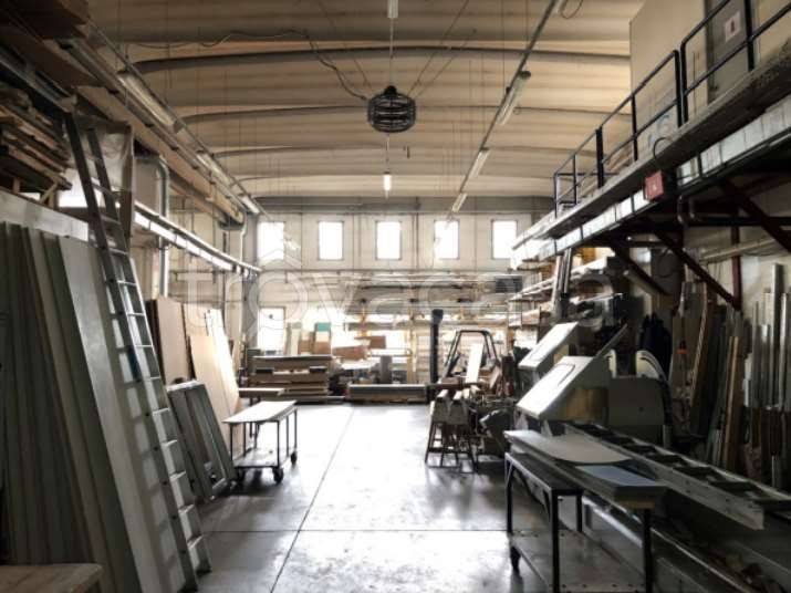 immagine annuncio 10 di 15