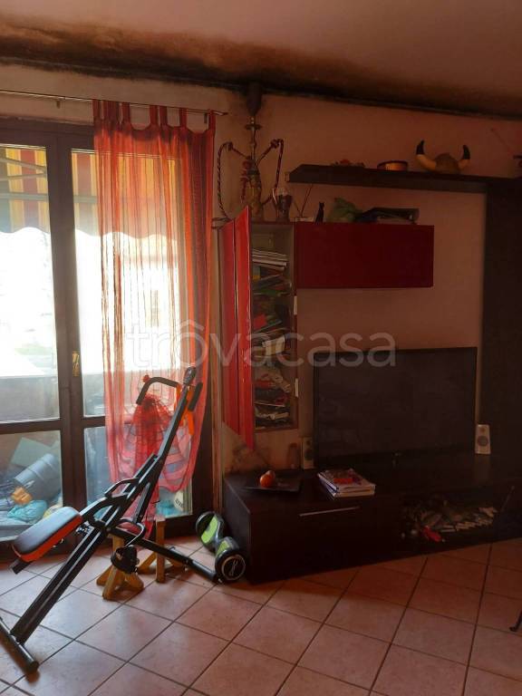 immagine annuncio 5 di 15