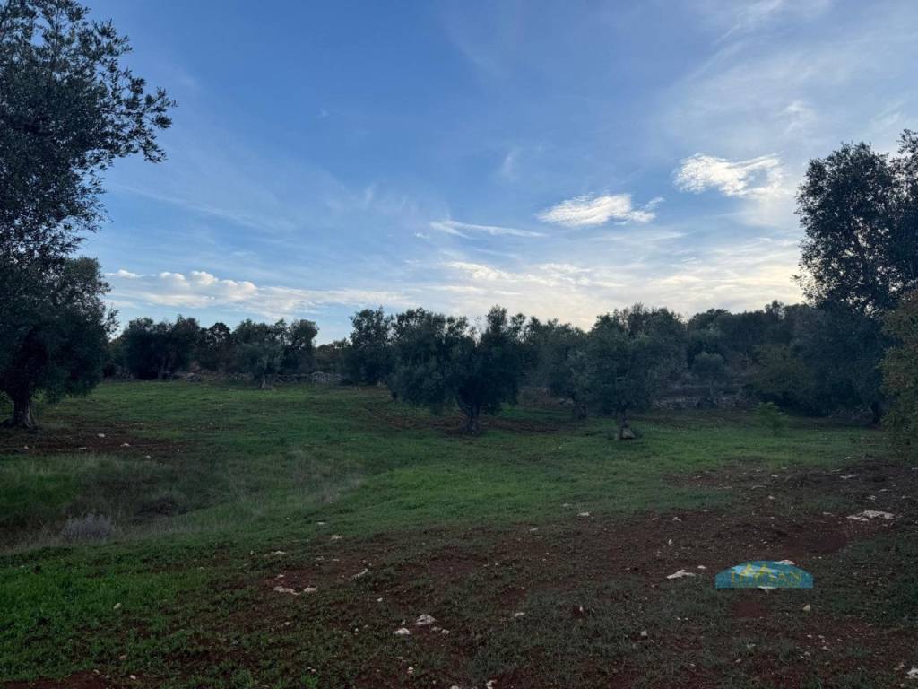 immagine annuncio 8 di 9