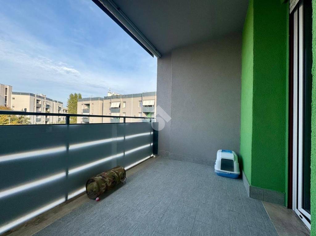 immagine annuncio 6 di 15