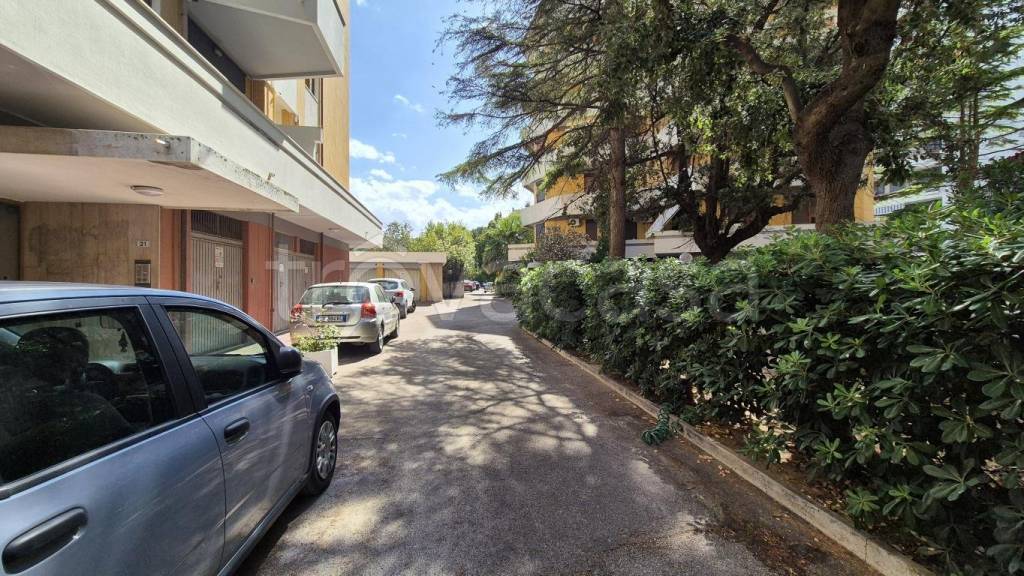 immagine annuncio 9 di 12