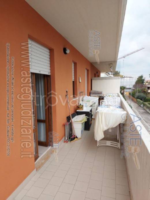 immagine annuncio 11 di 12