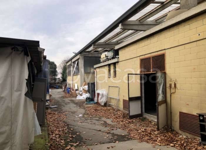 immagine annuncio 4 di 15