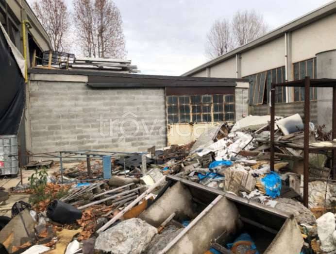 immagine annuncio 12 di 15