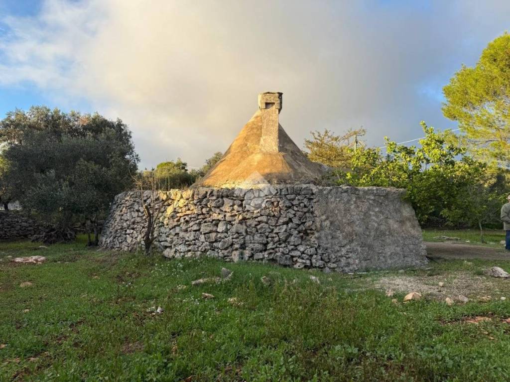 immagine annuncio 3 di 13