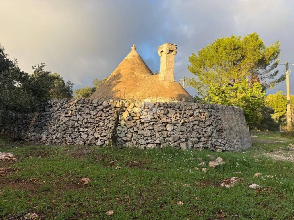 immagine annuncio 7 di 13