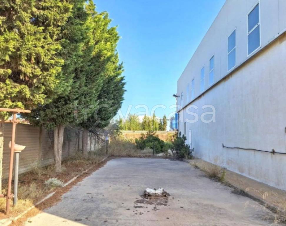 immagine annuncio 7 di 11