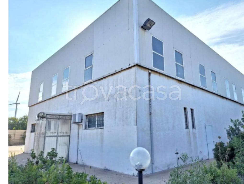 immagine annuncio 8 di 11