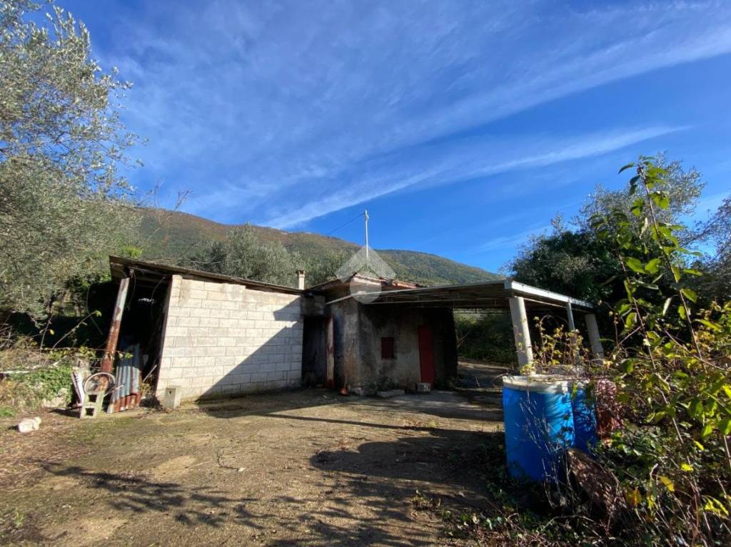 immagine annuncio 1 di 8