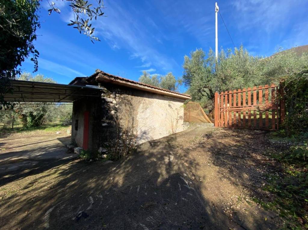 immagine annuncio 4 di 8