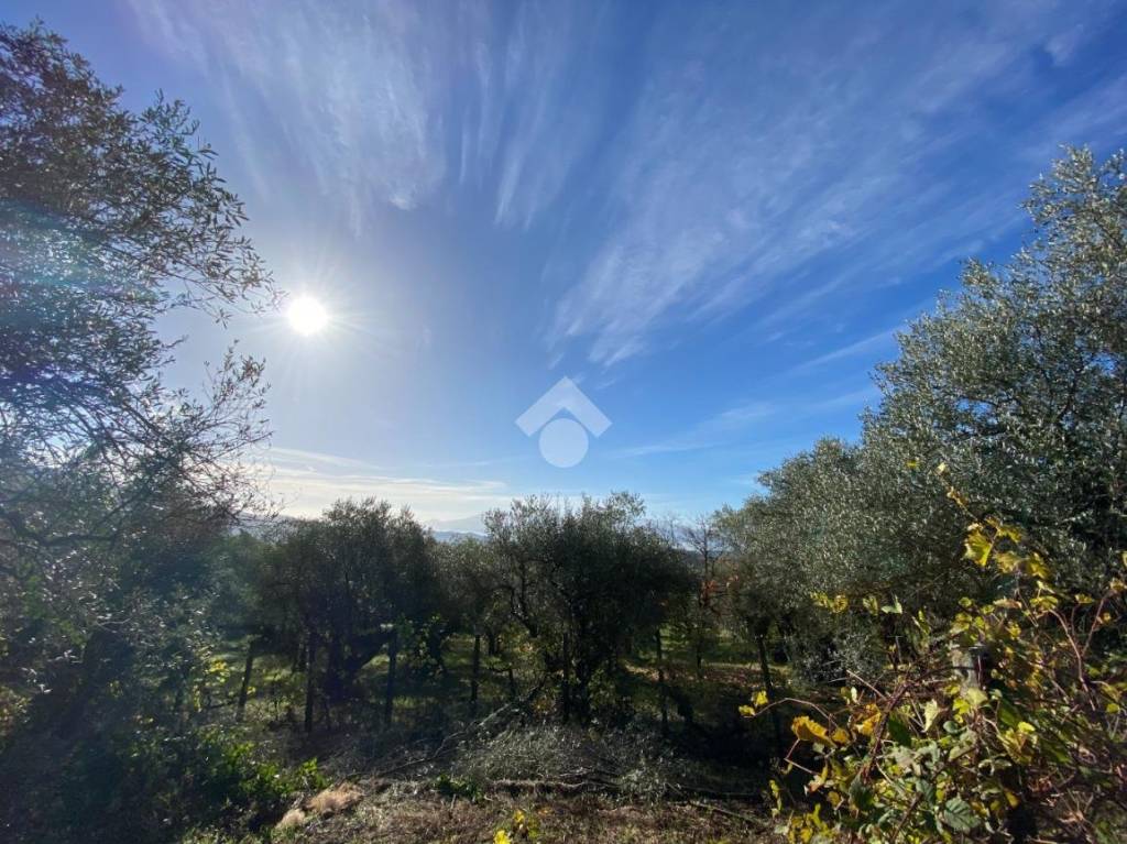 immagine annuncio 7 di 8