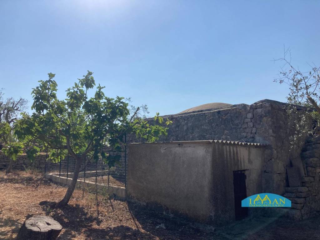 immagine annuncio 5 di 11