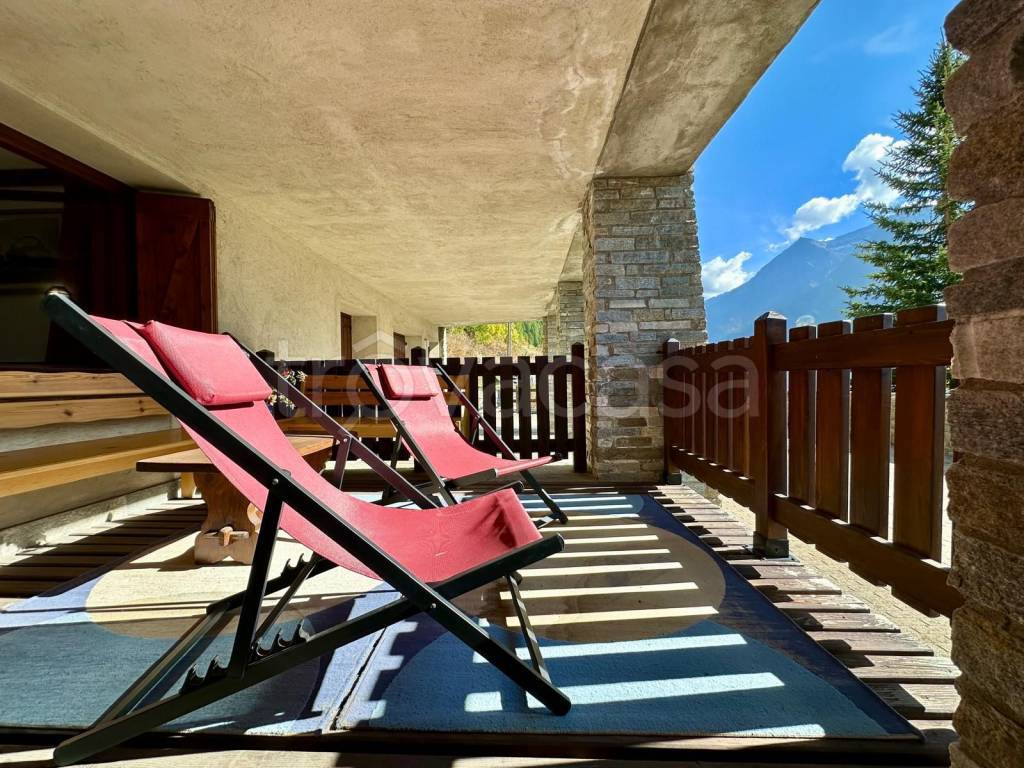 immagine annuncio 12 di 15