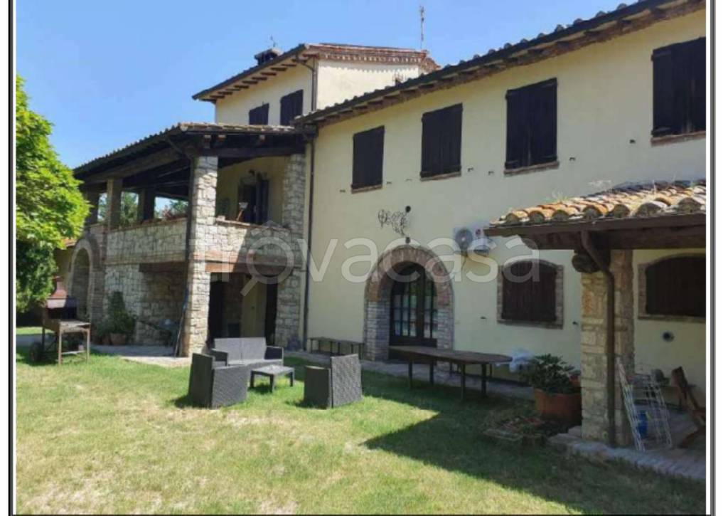 immagine annuncio 4 di 11