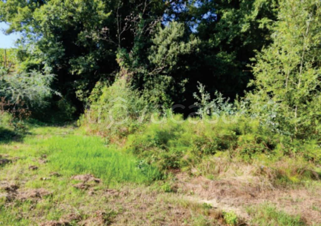 immagine annuncio 8 di 14