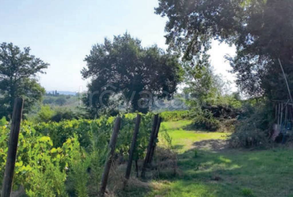 immagine annuncio 11 di 14