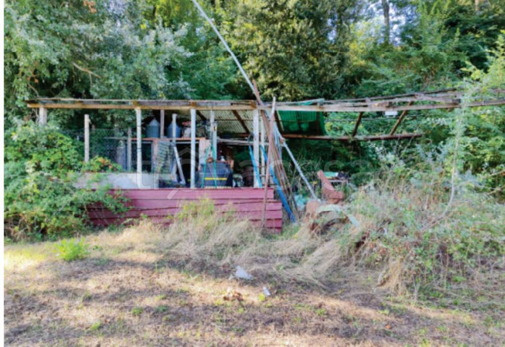 immagine annuncio 12 di 14