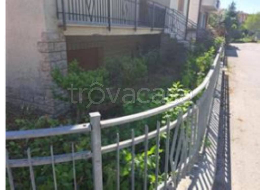 immagine annuncio 10 di 14