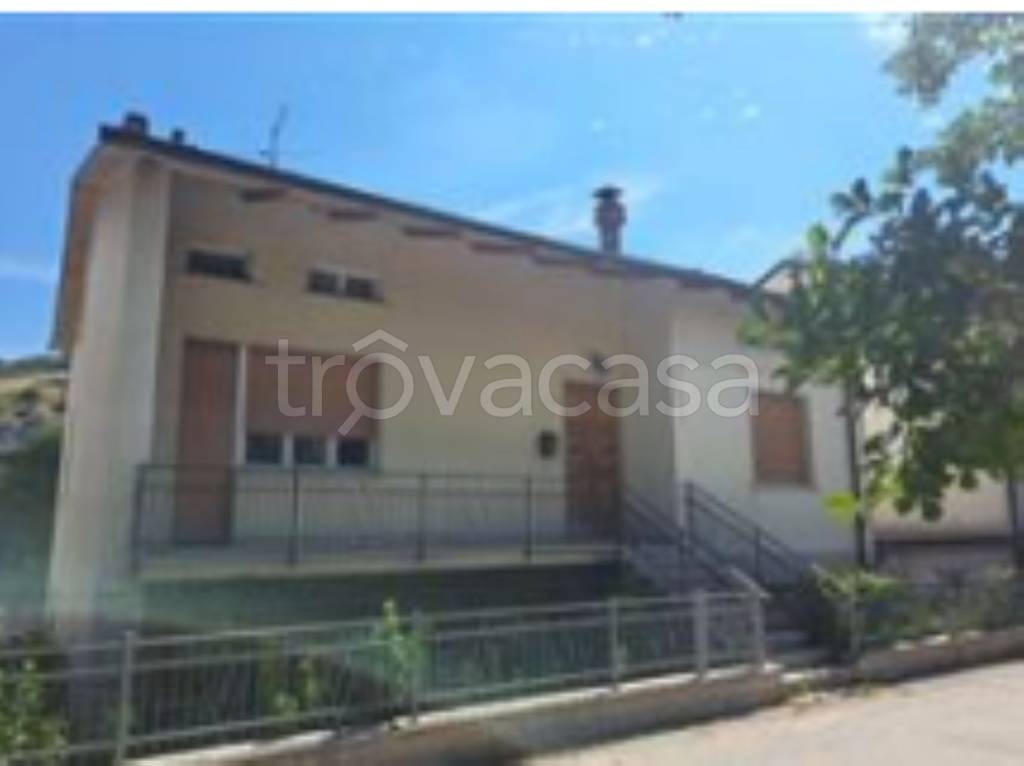 immagine annuncio 12 di 14