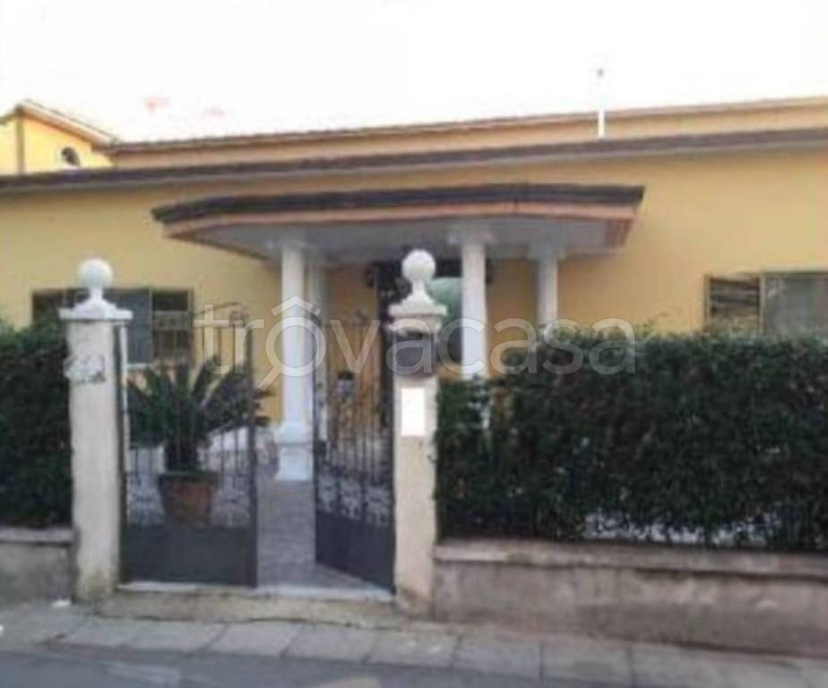 immagine annuncio 12 di 14