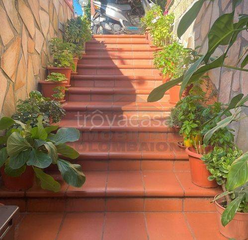 immagine annuncio 3 di 14