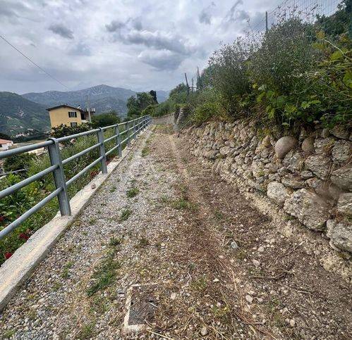 immagine annuncio 7 di 12