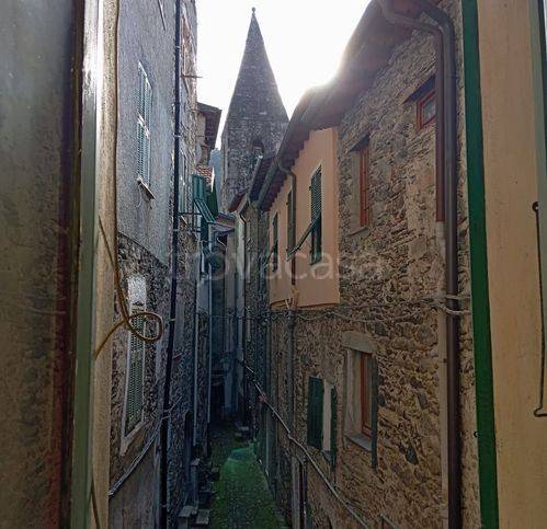 immagine annuncio 7 di 14