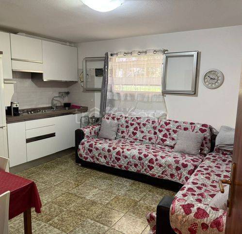 immagine annuncio 4 di 12