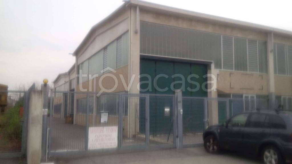 immagine annuncio 11 di 15