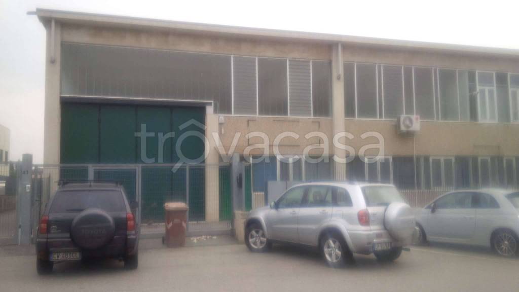 immagine annuncio 12 di 15