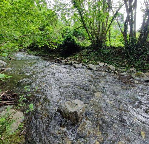 immagine annuncio 4 di 7