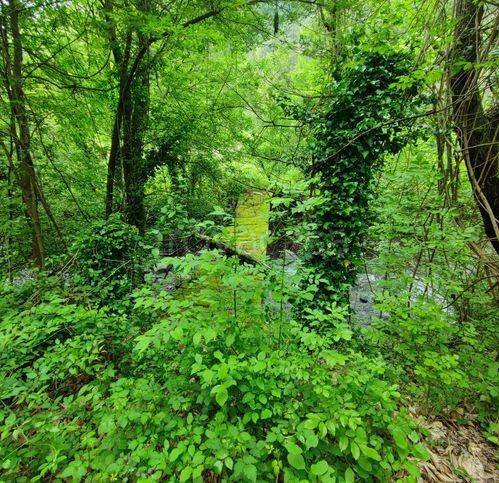 immagine annuncio 5 di 7