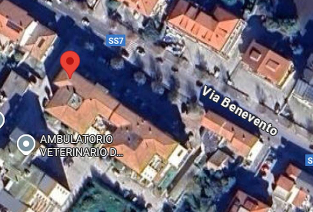 immagine annuncio 12 di 13