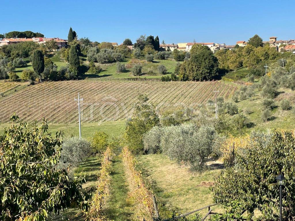 azienda agricola a Barberino Tavarnelle in zona Tavarnelle Val di Pesa