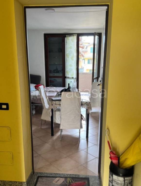 immagine annuncio 7 di 11