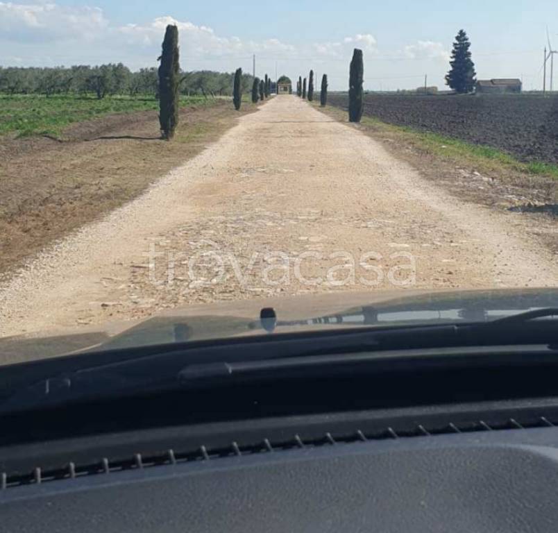 immagine annuncio 2 di 13