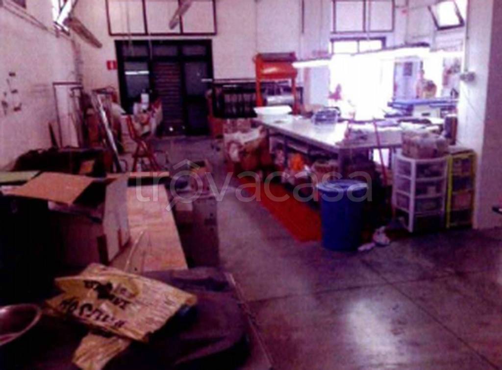 immagine annuncio 4 di 12