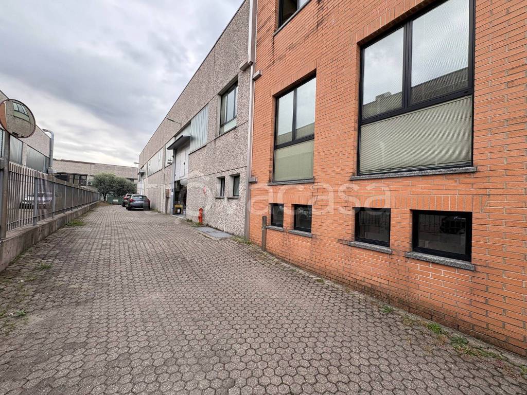 immagine annuncio 3 di 15