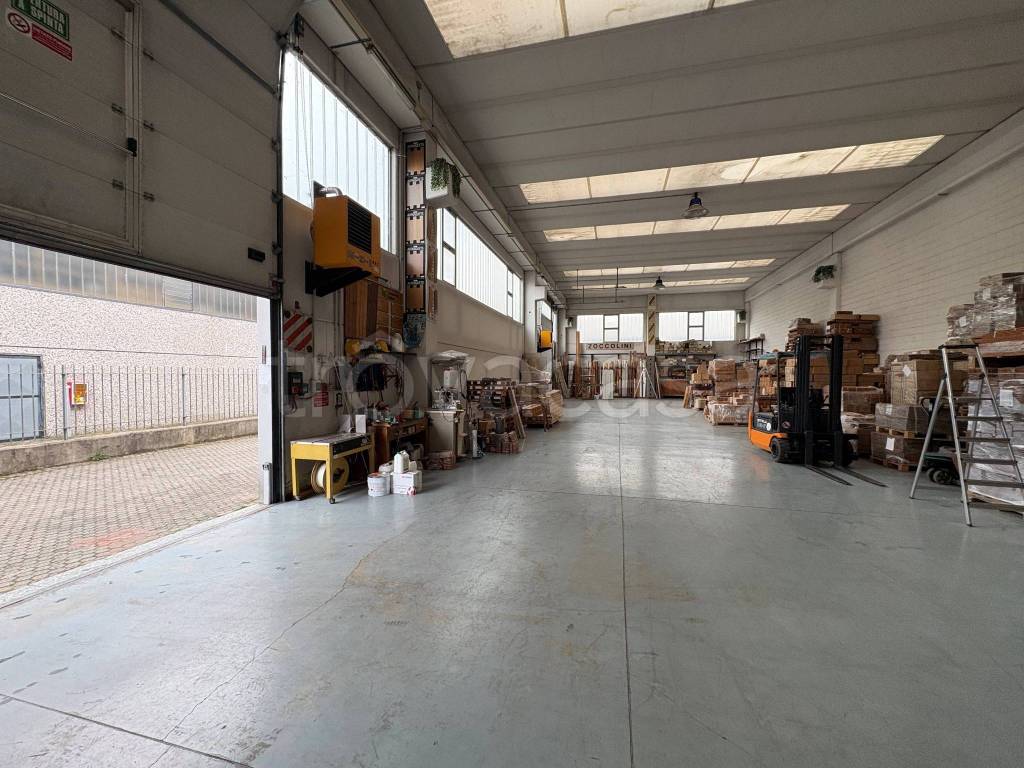 immagine annuncio 9 di 15