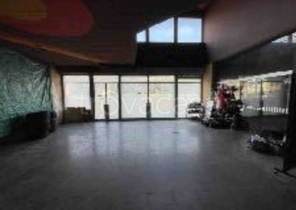 immagine annuncio 9 di 11