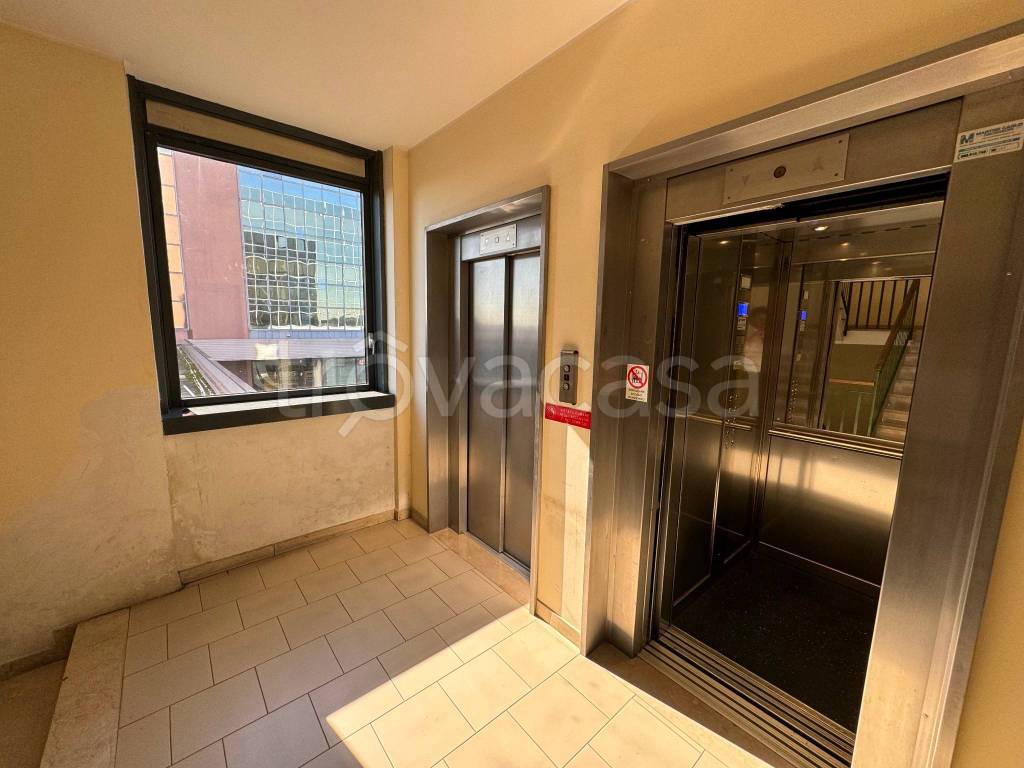 immagine annuncio 9 di 11