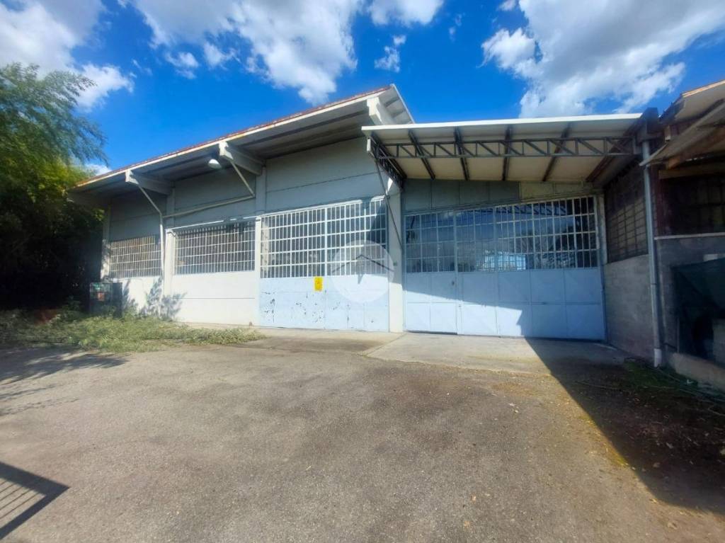 immagine annuncio 1 di 12