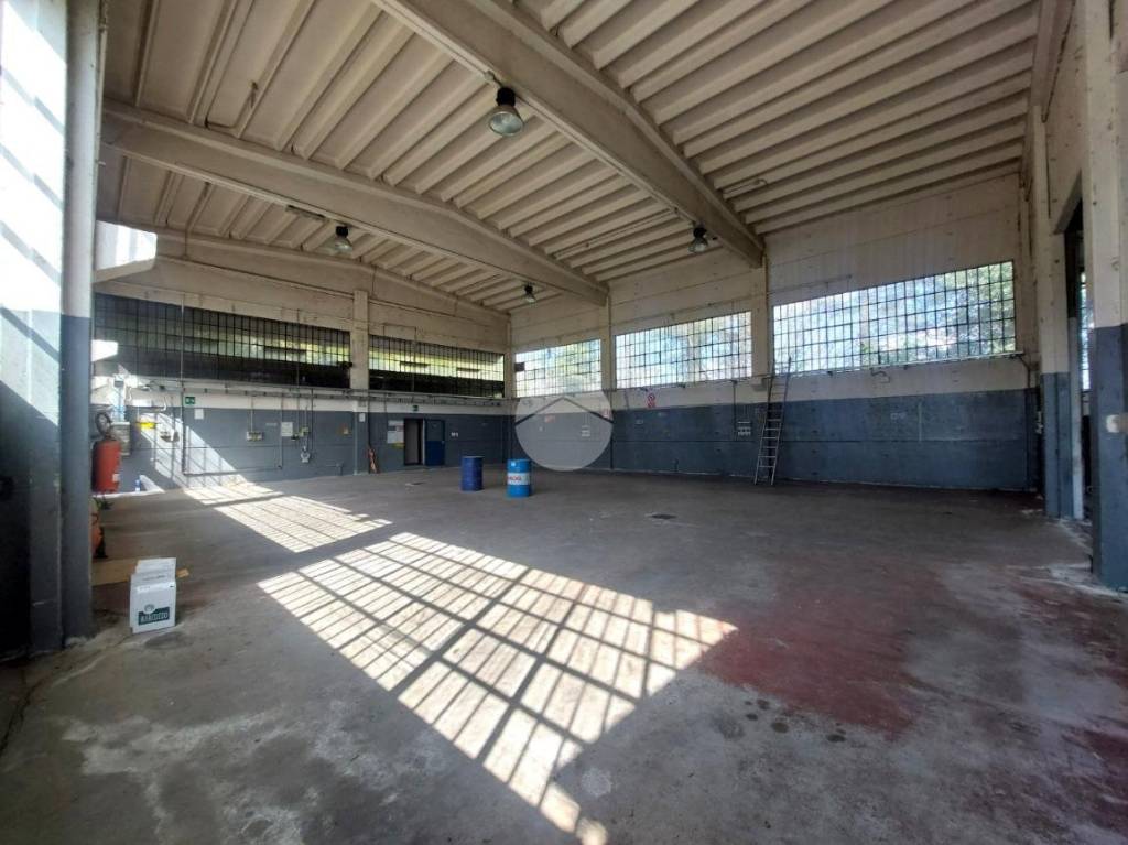 immagine annuncio 4 di 12