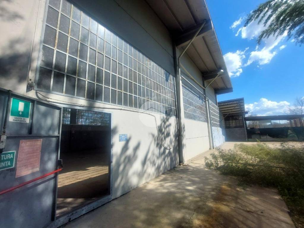 immagine annuncio 9 di 12